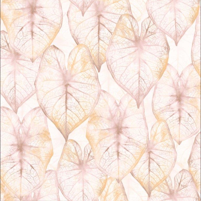 Amazonia II